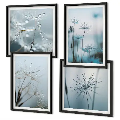 Ensemble de 4 tableaux gouttes d'eau sur fleurs de pissenlit