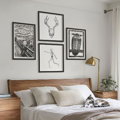 Mur de tableaux Inspiration cri crâne hibou