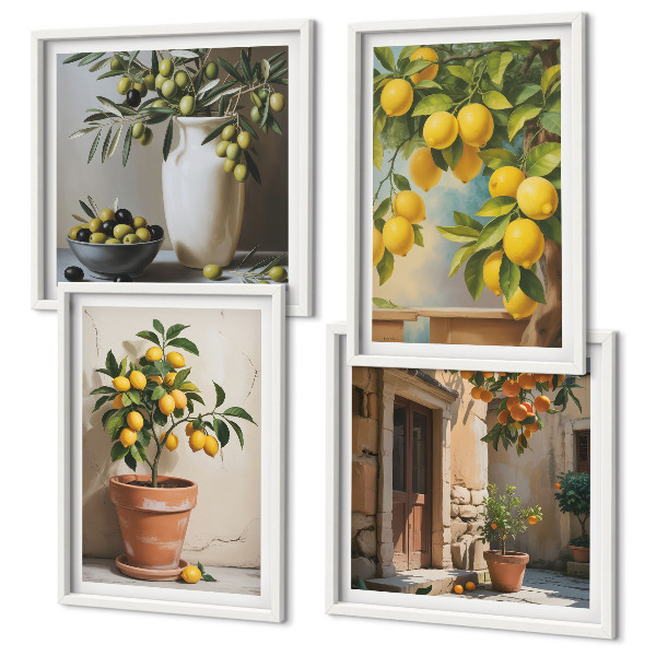 Ensemble de 4 tableaux Citronniers en pot
