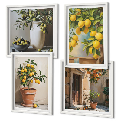 Ensemble de 4 tableaux Citronniers en pot