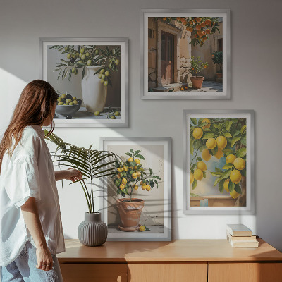 Ensemble de 4 tableaux Citronniers en pot