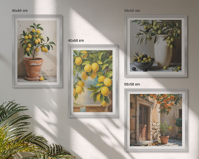 Ensemble de 4 tableaux Citronniers en pot