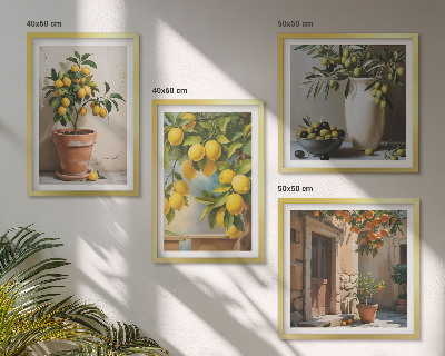 Ensemble de 4 tableaux Citronniers en pot