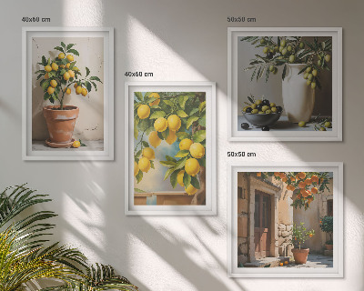 Ensemble de 4 tableaux Citronniers en pot