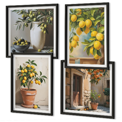 Ensemble de 4 tableaux Citronniers en pot