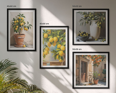 Ensemble de 4 tableaux Citronniers en pot