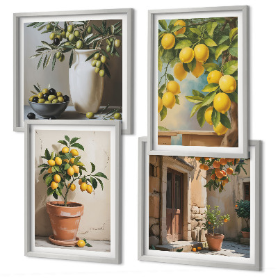 Ensemble de 4 tableaux Citronniers en pot