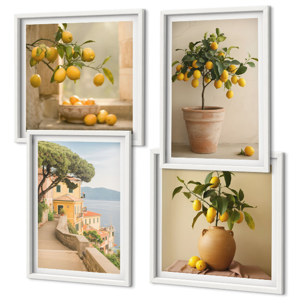 Polyptyque z cadres Citronniers en pot