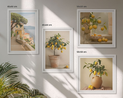 Polyptyque z cadres Citronniers en pot