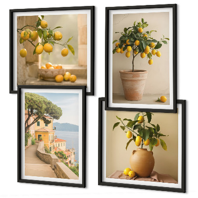Polyptyque z cadres Citronniers en pot