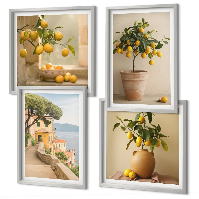 Polyptyque z cadres Citronniers en pot