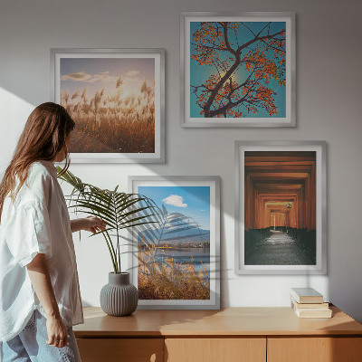 Ensemble de 4 tableaux Paysages naturels japonais