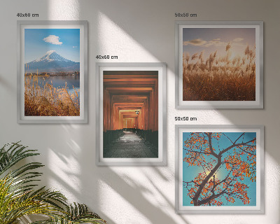 Ensemble de 4 tableaux Paysages naturels japonais