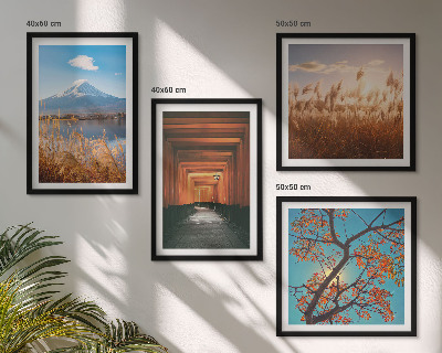 Ensemble de 4 tableaux Paysages naturels japonais
