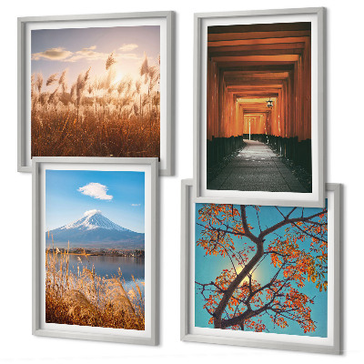 Ensemble de 4 tableaux Paysages naturels japonais