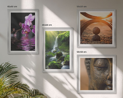 Mur de tableaux Fleurs dans l'eau de la cascade du bouddha
