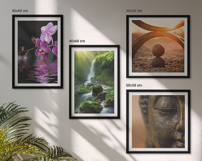 Mur de tableaux Fleurs dans l'eau de la cascade du bouddha