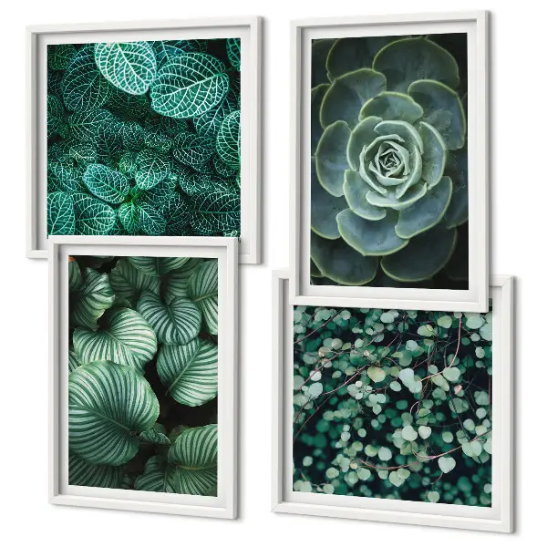 Ensemble de 4 tableaux représentant des feuilles succulentes vertes
