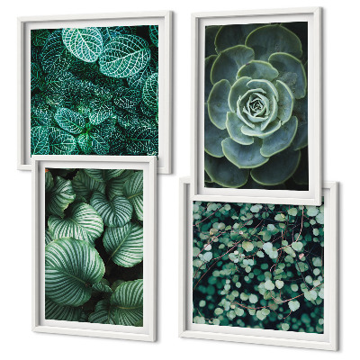 Ensemble de 4 tableaux Feuilles succulentes vertes