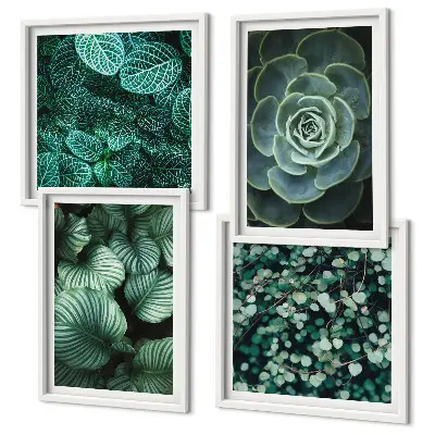 Ensemble de 4 tableaux représentant des feuilles succulentes vertes