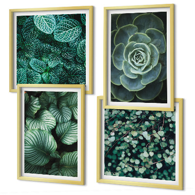 Ensemble de 4 tableaux Feuilles succulentes vertes
