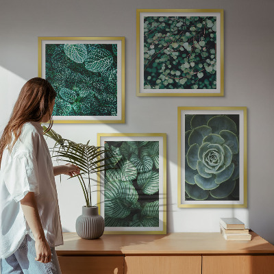 Ensemble de 4 tableaux Feuilles succulentes vertes