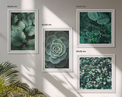 Ensemble de 4 tableaux Feuilles succulentes vertes