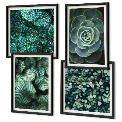 Ensemble de 4 tableaux Feuilles succulentes vertes