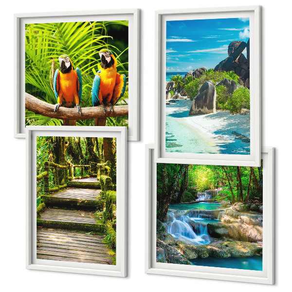 Ensemble de 4 tableaux Cascade de perroquets de la forêt tropicale
