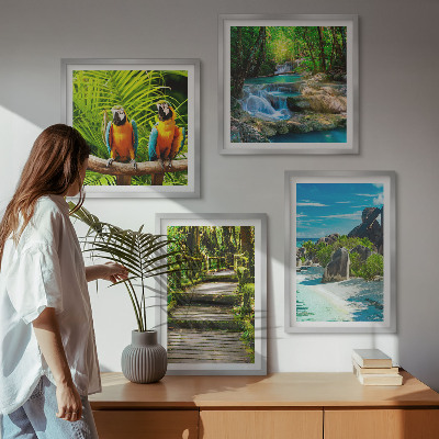 Ensemble de 4 tableaux Cascade de perroquets de la forêt tropicale