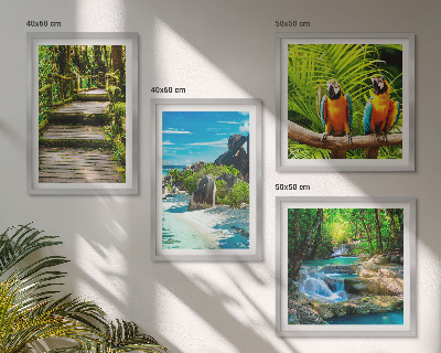 Ensemble de 4 tableaux Cascade de perroquets de la forêt tropicale