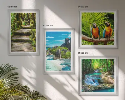 Cascade de perroquets de la forêt tropicale ensemble de 4 tableaux