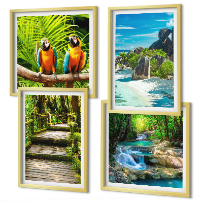 Ensemble de 4 tableaux Cascade de perroquets de la forêt tropicale