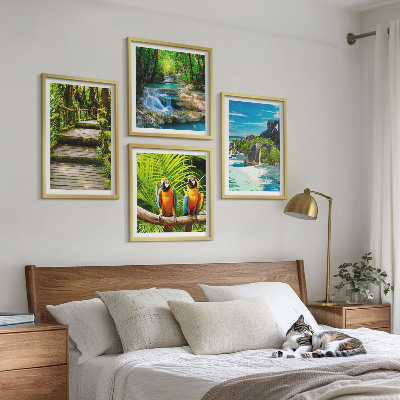 Ensemble de 4 tableaux Cascade de perroquets de la forêt tropicale