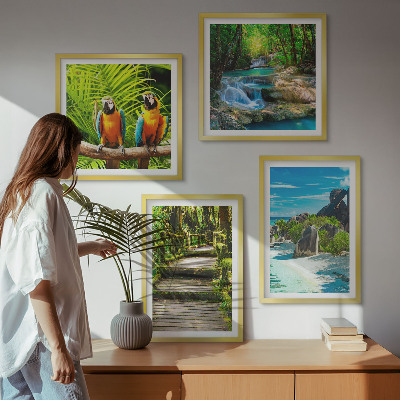 Ensemble de 4 tableaux Cascade de perroquets de la forêt tropicale