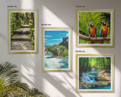 Ensemble de 4 tableaux Cascade de perroquets de la forêt tropicale