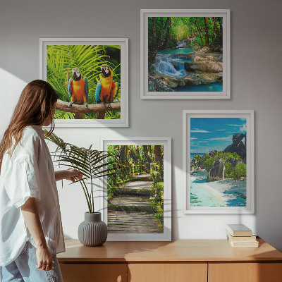 Ensemble de 4 tableaux Cascade de perroquets de la forêt tropicale