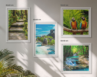 Ensemble de 4 tableaux Cascade de perroquets de la forêt tropicale