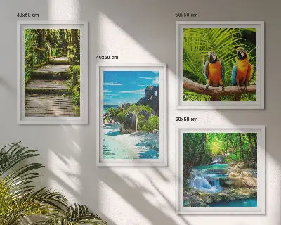 Cascade de perroquets de la forêt tropicale ensemble de 4 tableaux
