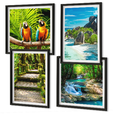 Ensemble de 4 tableaux Cascade de perroquets de la forêt tropicale