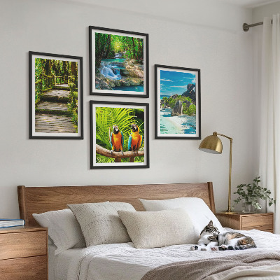 Ensemble de 4 tableaux Cascade de perroquets de la forêt tropicale