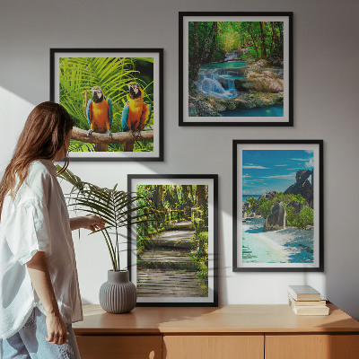 Ensemble de 4 tableaux Cascade de perroquets de la forêt tropicale