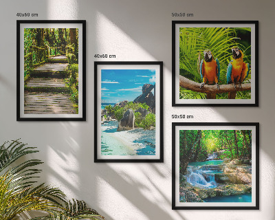Ensemble de 4 tableaux Cascade de perroquets de la forêt tropicale