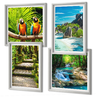 Ensemble de 4 tableaux Cascade de perroquets de la forêt tropicale