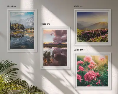 Mur de tableaux jardin de fleurs dans une prairie de montagne au bord de l'eau
