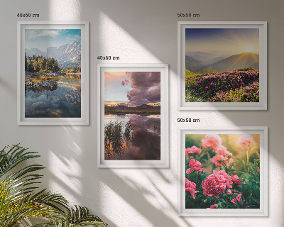 Mur de tableaux Jardin de fleurs, prairie de montagne, eau