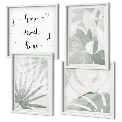 Polyptyque z cadres Les feuilles des plantes sont gris verdâtre.