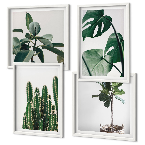 Ensemble de 4 tableaux Esthétique des plantes tropicales