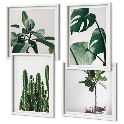 Ensemble de 4 tableaux Esthétique des plantes tropicales