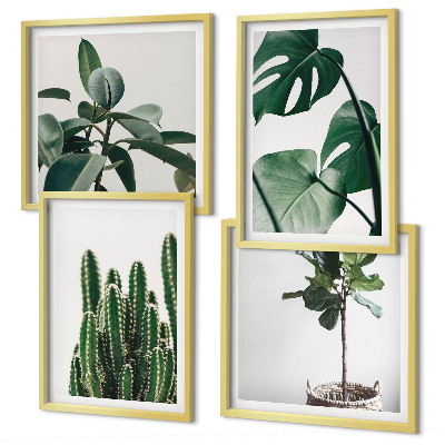 Ensemble de 4 tableaux Esthétique des plantes tropicales